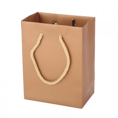 Luxury Custom Laminated Shopping Gift Packaging Paper Bag  with shoe cap rope