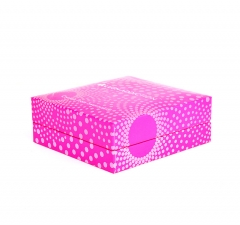 plastic hinge jewelry box