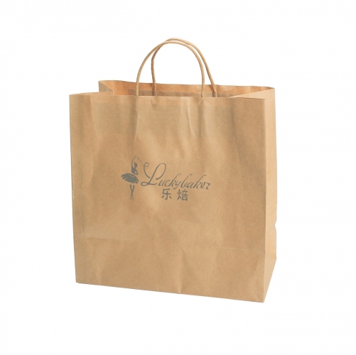 Paper bag with handle