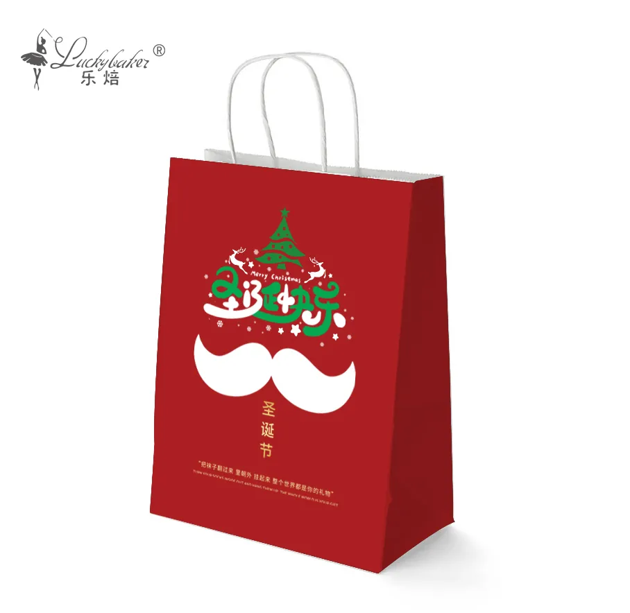 Paper bag with twisted handle / shopping paper bag / Gift paper bag / Delivery bag 3