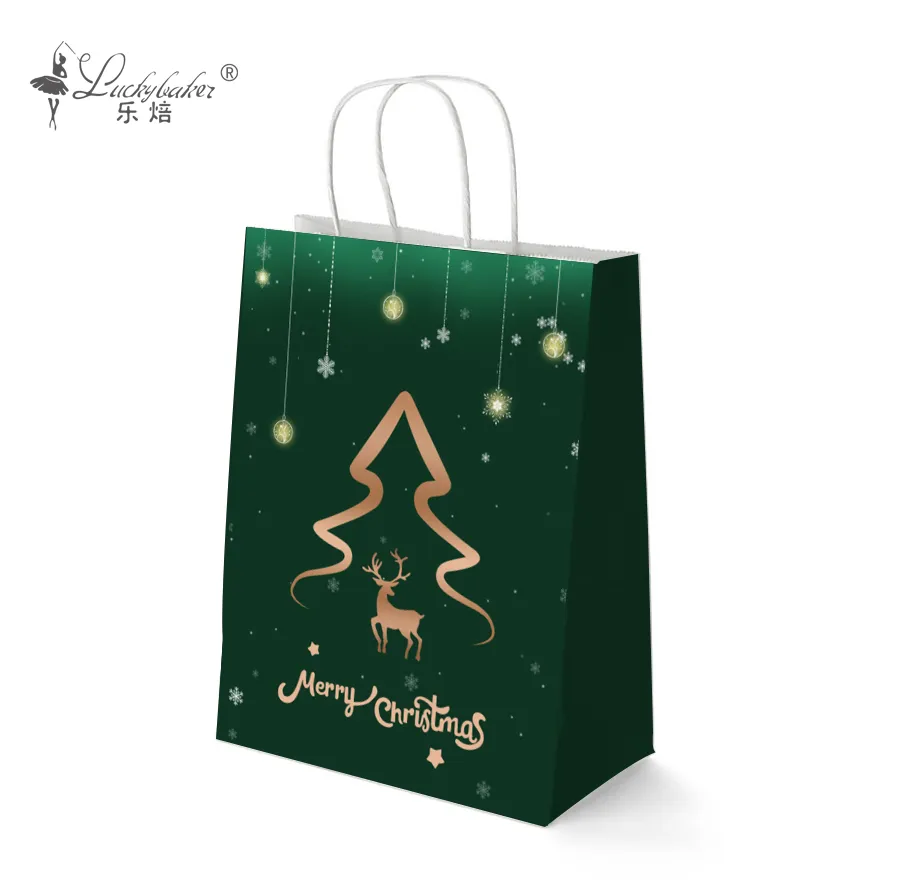 Paper bag with twisted handle / shopping paper bag / Gift paper bag / Delivery bag 2