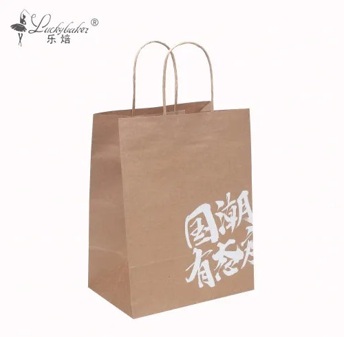 Paper bag with twisted handle / shopping paper bag / Gift paper bag / Delivery bag 1