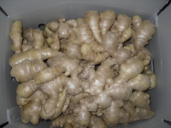 Air dried ginger