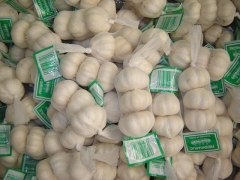 Pure White Garlic 3pcs/bag, 10kg/ctn