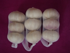 Normal White Garlic, 3pcs/bag,10kg/ctn