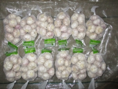 Normal White Garlic, 400gx25bags/mesh bag