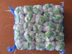 Normal White Garlic, 400gx25bags/mesh bag