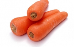 Fresh Carrot