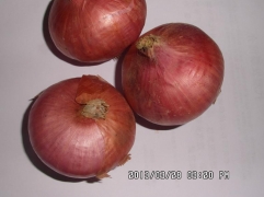 Pink Red Onion