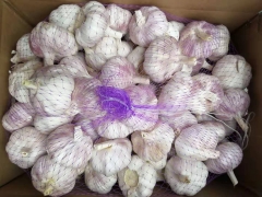 Normal White Garlic 10kg/ctn