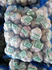 Normal White Garlic, 400gx25bags/mesh bag