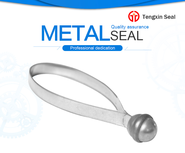 Metal Strap Seal TX-SS102