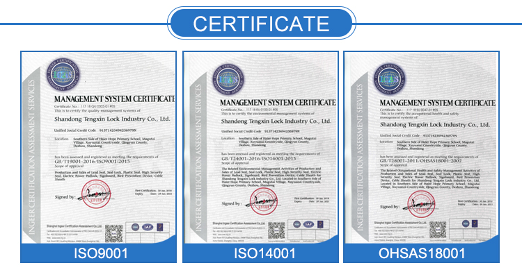 Сертификат защиты от несанкционированного доступа OEM ODM H