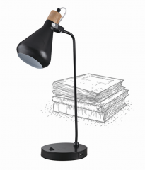 Metal Desk lamp