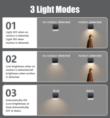 Solar sensing wall lamp, 300Lm