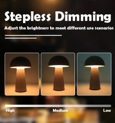 LED Table Lamp, 2700K