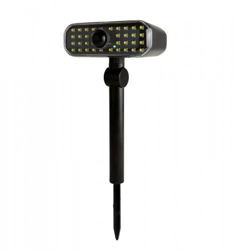 Solar sensing pathway light, 320Lm