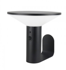 Solar sensing wall lamp, 300Lm
