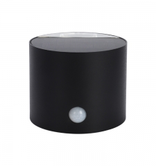 Solar sensing wall lamp, 50+50Lm