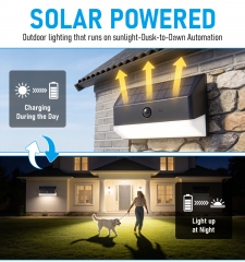 Solar sensing wall lamp, 500Lm