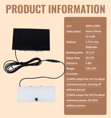 Solar sensing wall lamp, 1000Lumen