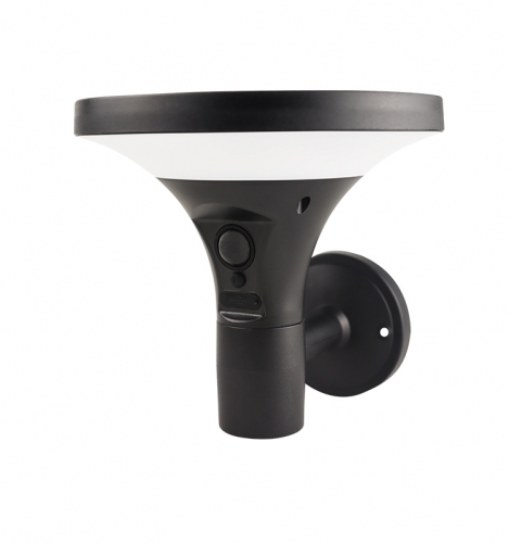 Solar sensing wall lamp, 500Lm