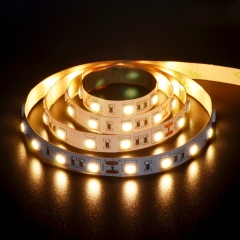 DC24V 60leds/m SMD5050 LED Strip