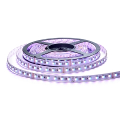 DC24V 4 in 1 60leds/m 5050 RGBW LED Strip