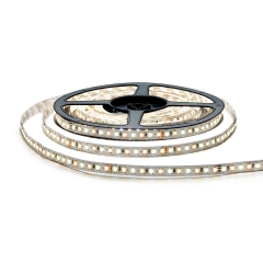 DC24V 120leds/m 2835 Dual White LED Strip