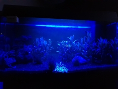 RGB  Aquarium LED Strip