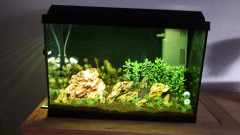 RGB  Aquarium LED Strip