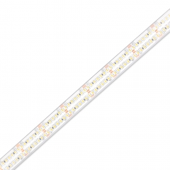 DC24V 12mm width 560leds/m 2216 LED Strip