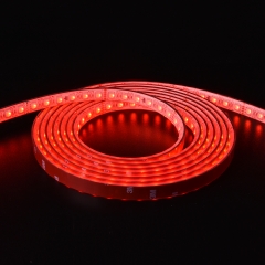 DC24V 4 in 1 72leds/m 5050 RGBW LED Strip