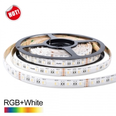 DC24V 4 in 1 60leds/m 5050 RGBW LED Strip