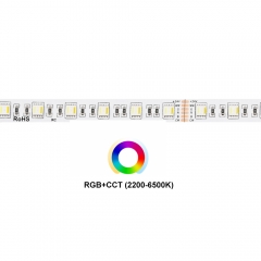DC24V 5 in 1 60leds/m 5050 RGB+CCT LED Strip