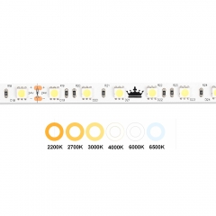 DC24V 60leds/m SMD5050 LED Strip