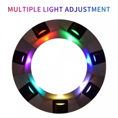 F5542A-RGB Outdoor 0.6W RGB LED Stair Light