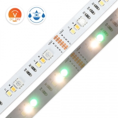 24V 36+36+36 LED/m RGB+CCT LED Strip