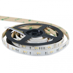 24V 36+36+36 LED/m RGB+CCT LED Strip