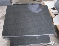 Darker Granite Tiles G654 Top and One long Polished