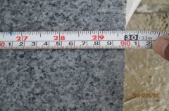 China Factory G654 Granite Tiles With Good Price