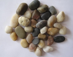 Natural Mix Color Pebble Stone