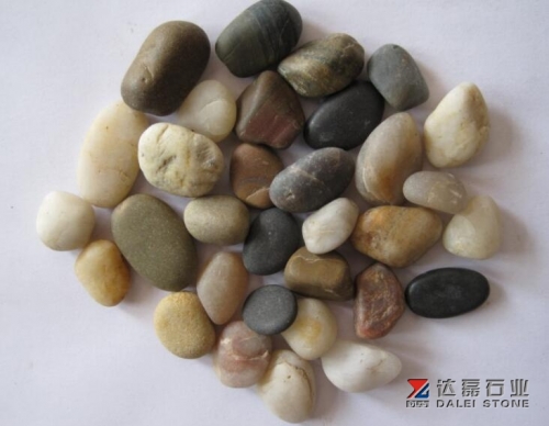 Natural Mix Color Pebble Stone
