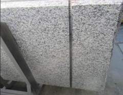 Jilin White Bianco Granite Grey Granite Slabs Tiles