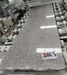 Wulian Flower Granite Small Slabs Polished