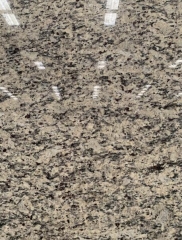 Santa Cecilia Granite Big Slabs Granite Countertops Wholesale