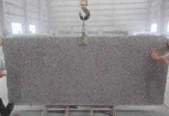 G664 Big Slabs 5cm 2400up x 1100up Polished