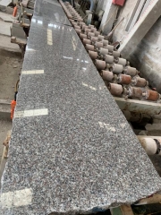 G664 Small Slabs Polished Material