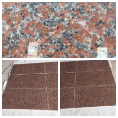 Big Promotion Old G562 Maple Red Granite Polished Tiles