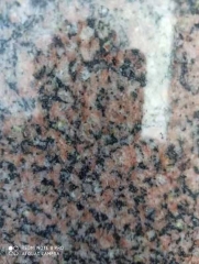 Pearl Red Granite Big Slabs Tombstone Monument Headstone Wholesale